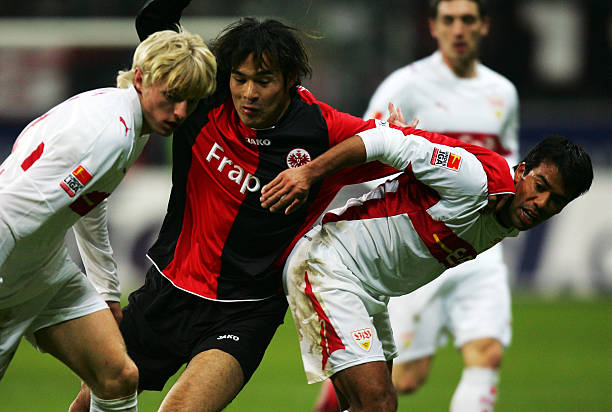 作为浙江队 作为浙江队