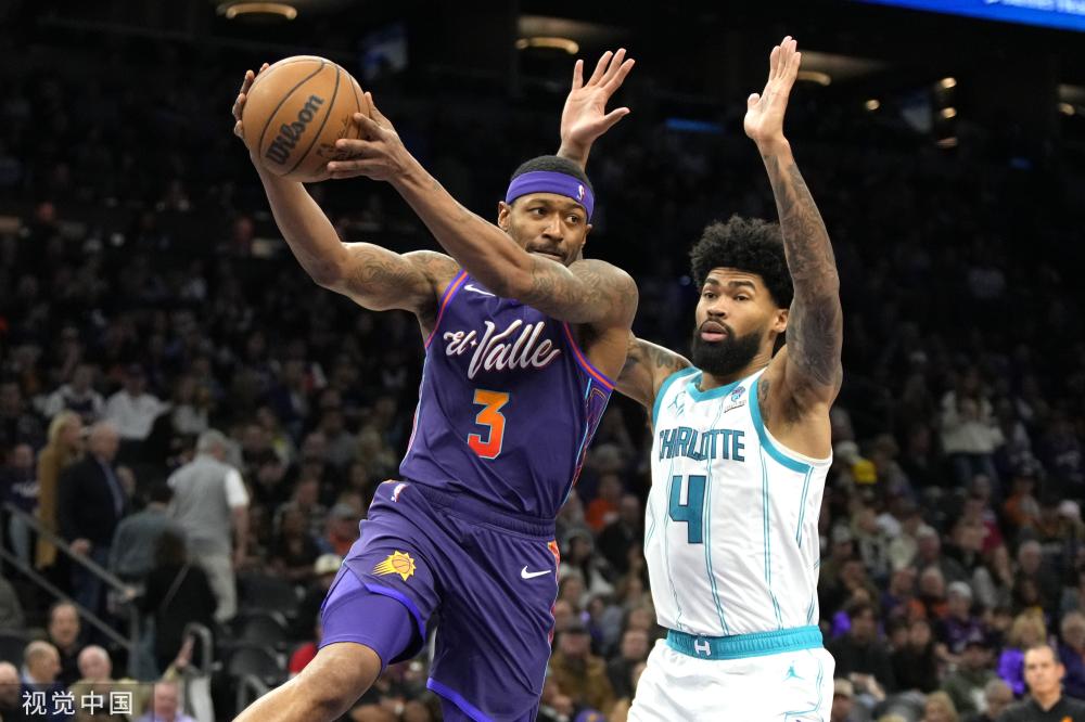 或译萨维尼 或译萨维尼